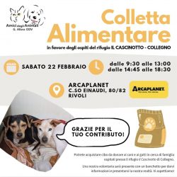 Colletta alimentare sabato 22 febbraio. Vi aspettiamo!