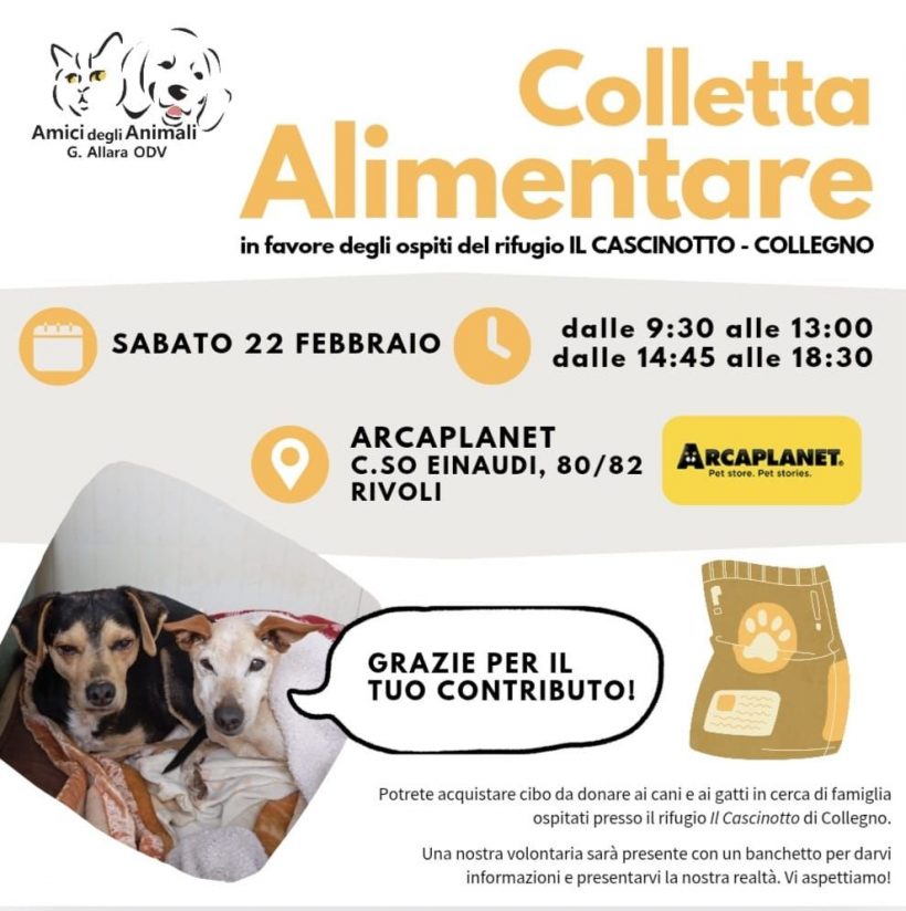 Colletta alimentare sabato 22 febbraio. Vi aspettiamo!