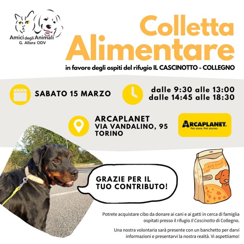Colletta alimentare sabato 15 marzo. Vi aspettiamo!