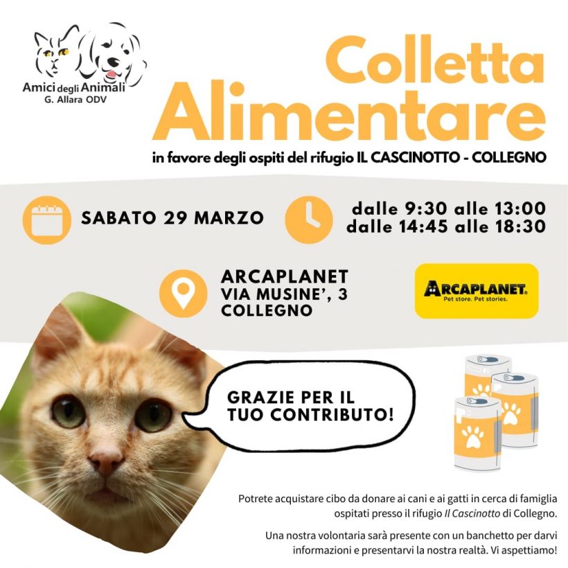 Colletta alimentare sabato 29 marzo. Vi aspettiamo!