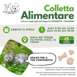 Colletta alimentare sabato 12 aprile. Vi aspettiamo!