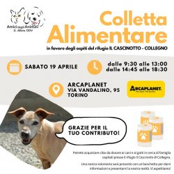 Colletta alimentare sabato 19 aprile. Vi aspettiamo!