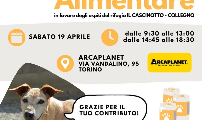 Colletta alimentare sabato 19 aprile. Vi aspettiamo! Colletta alimentare sabato 19 aprile. Vi aspettiamo!