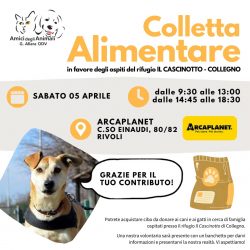 Colletta alimentare sabato 5 aprile. Vi aspettiamo!