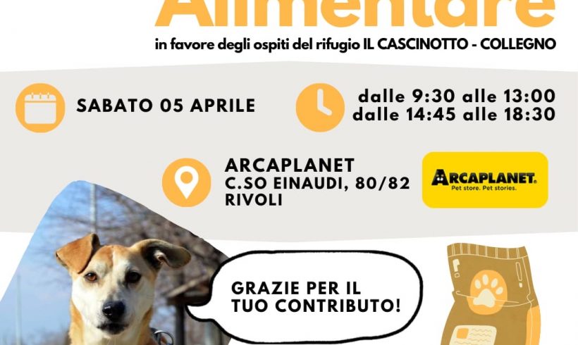 Colletta alimentare sabato 5 aprile. Vi aspettiamo! Colletta alimentare sabato 5 aprile. Vi aspettiamo!