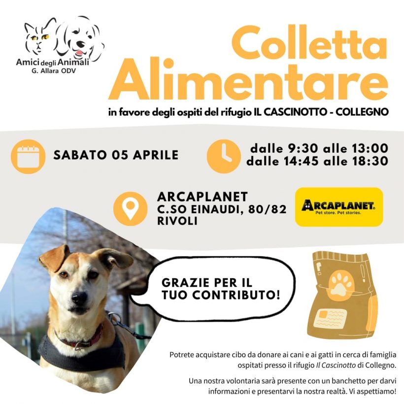 Colletta alimentare sabato 5 aprile. Vi aspettiamo!