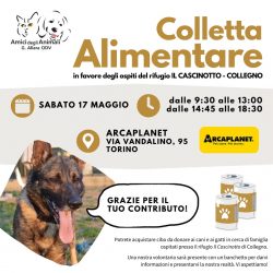 Colletta alimentare sabato 17 maggio. Vi aspettiamo!