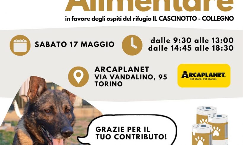 Colletta alimentare sabato 17 maggio. Vi aspettiamo! Colletta alimentare sabato 17 maggio. Vi aspettiamo!
