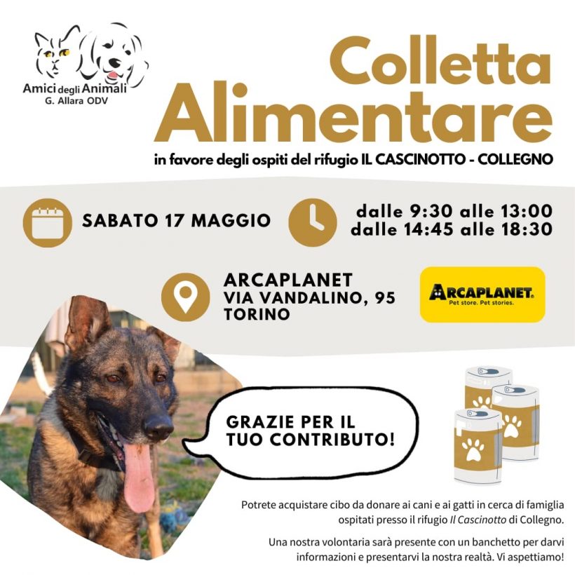 Colletta alimentare sabato 17 maggio. Vi aspettiamo!