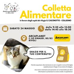Colletta alimentare sabato 24 maggio. Vi aspettiamo!