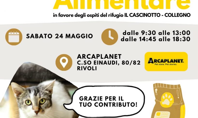Colletta alimentare sabato 24 maggio. Vi aspettiamo! Colletta alimentare sabato 24 maggio. Vi aspettiamo!