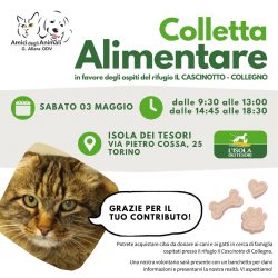 Colletta alimentare sabato 3 maggio. Vi aspettiamo!