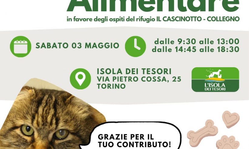 Colletta alimentare sabato 3 maggio. Vi aspettiamo!
