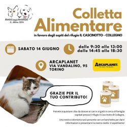 Colletta alimentare sabato 14 giugno. Vi aspettiamo!