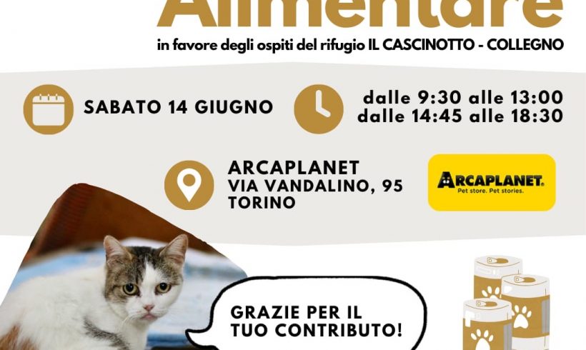 Colletta alimentare sabato 14 giugno. Vi aspettiamo!