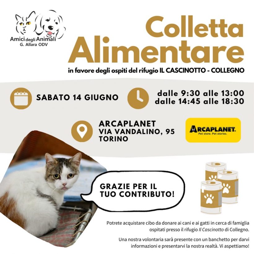 Colletta alimentare sabato 14 giugno. Vi aspettiamo!