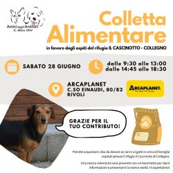 Colletta alimentare sabato 28 giugno. Vi aspettiamo!