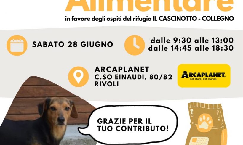 Colletta alimentare sabato 28 giugno. Vi aspettiamo! Colletta alimentare sabato 28 giugno. Vi aspettiamo!