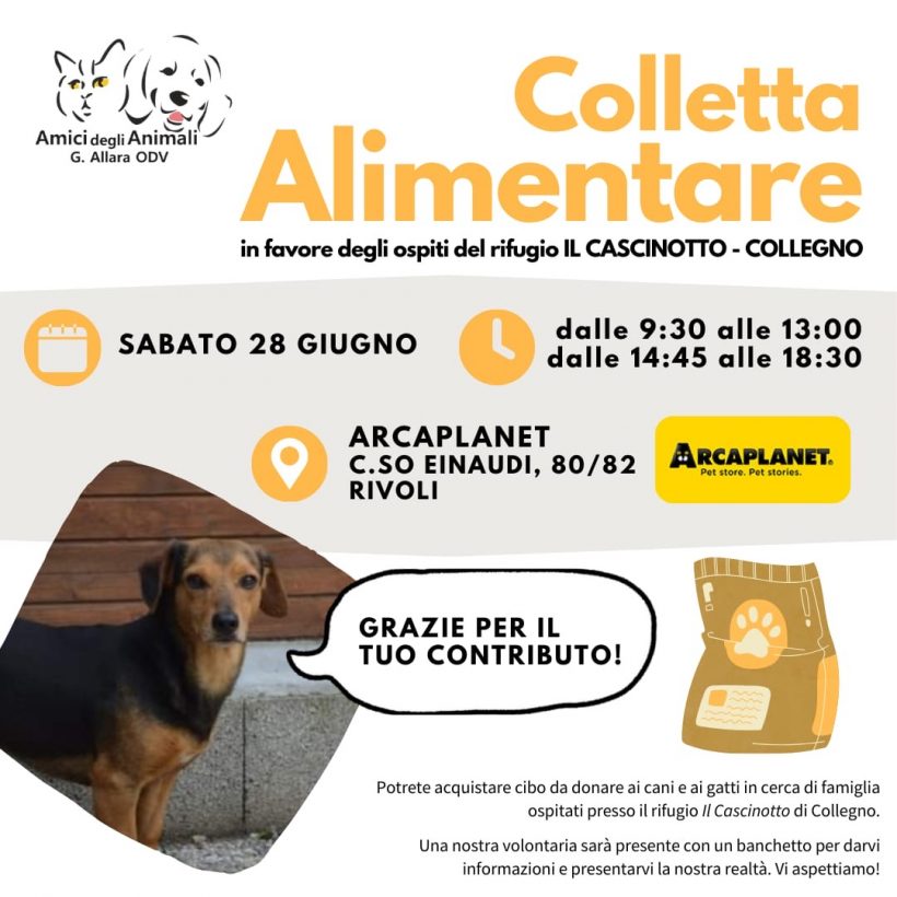 Colletta alimentare sabato 28 giugno. Vi aspettiamo!