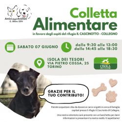 Colletta alimentare sabato 7 giugno. Vi aspettiamo!