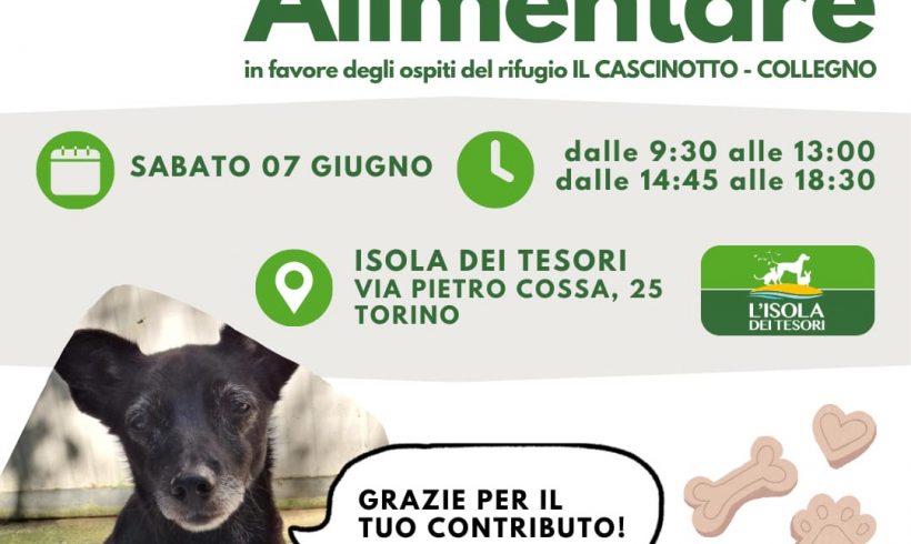 Colletta alimentare sabato 7 giugno. Vi aspettiamo! Colletta alimentare sabato 7 giugno. Vi aspettiamo!