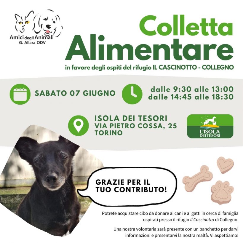 Colletta alimentare sabato 7 giugno. Vi aspettiamo!