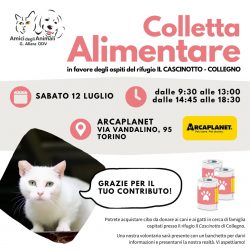 Colletta alimentare sabato 12 luglio. Vi aspettiamo!