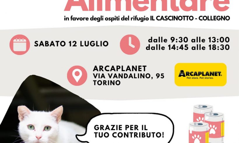 Colletta alimentare sabato 12 luglio. Vi aspettiamo! Colletta alimentare sabato 12 luglio. Vi aspettiamo!