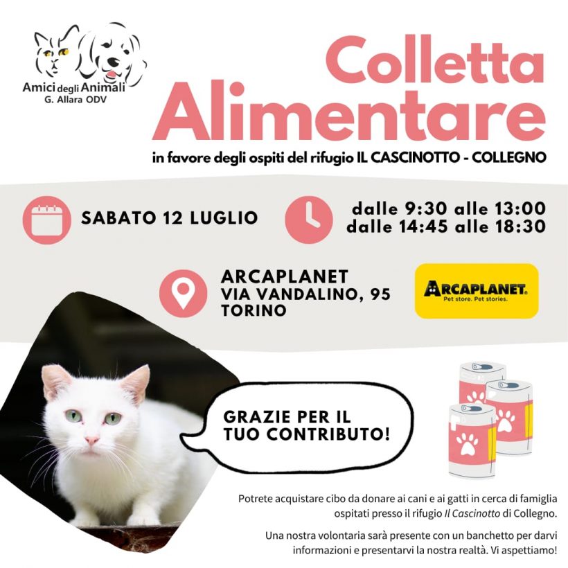 Colletta alimentare sabato 12 luglio. Vi aspettiamo!