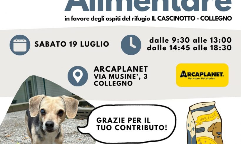 Colletta alimentare sabato 19 luglio. Vi aspettiamo! Colletta alimentare sabato 19 luglio. Vi aspettiamo!