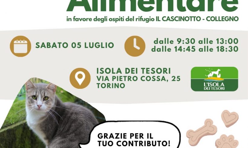 Colletta alimentare sabato 5 luglio. Vi aspettiamo! Colletta alimentare sabato 5 luglio. Vi aspettiamo!