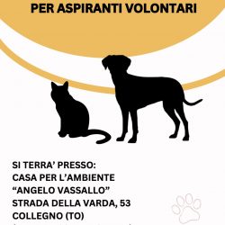 Corso di formazione gratuito per aspiranti volontari! Sabato 20 settembre 2025