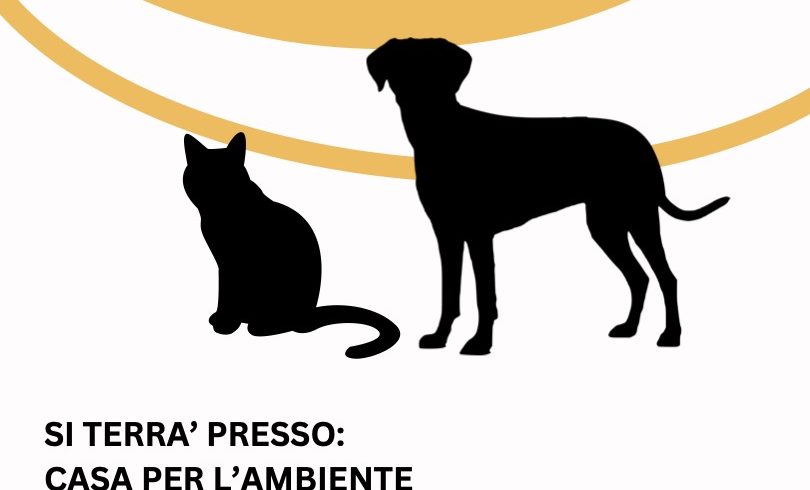 Corso di formazione gratuito per aspiranti volontari! Sabato 20 settembre 2025 Corso di formazione gratuito per aspiranti volontari! Sabato 20 settembre 2025