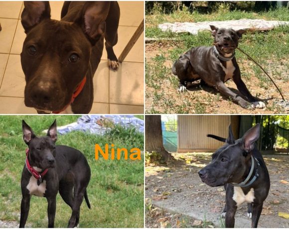 Nina
