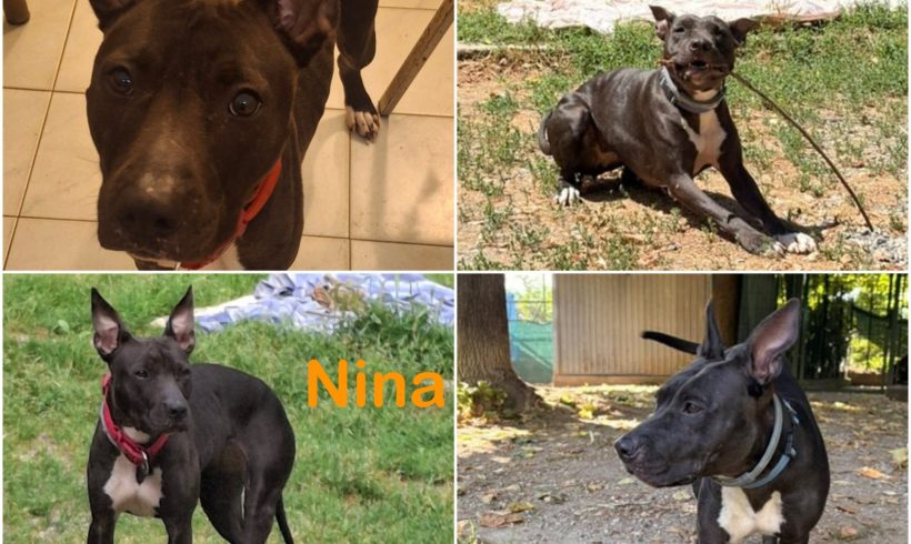 Nina