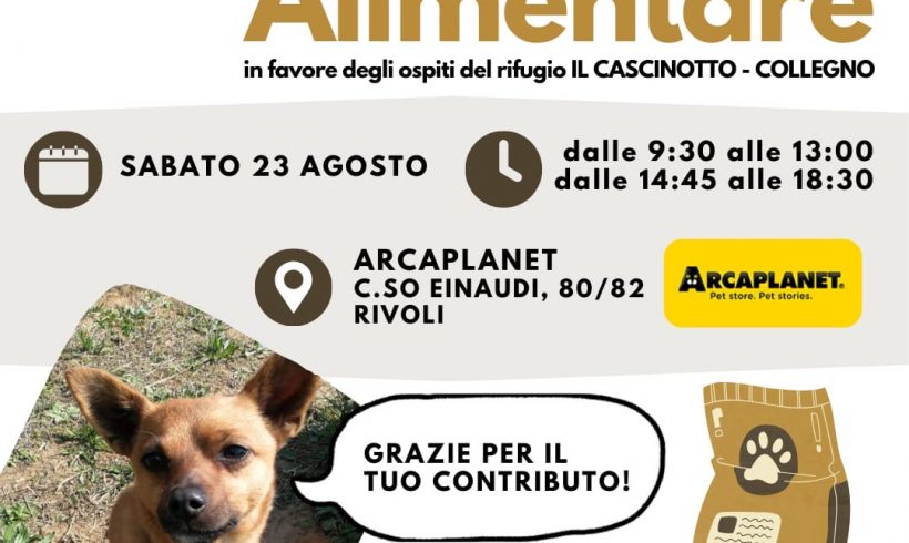 Colletta alimentare sabato 23 agosto. Vi aspettiamo!