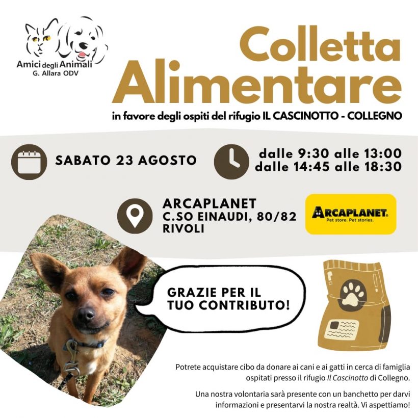 Colletta alimentare sabato 23 agosto. Vi aspettiamo!