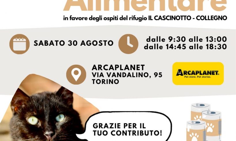 Colletta alimentare sabato 30 agosto. Vi aspettiamo!