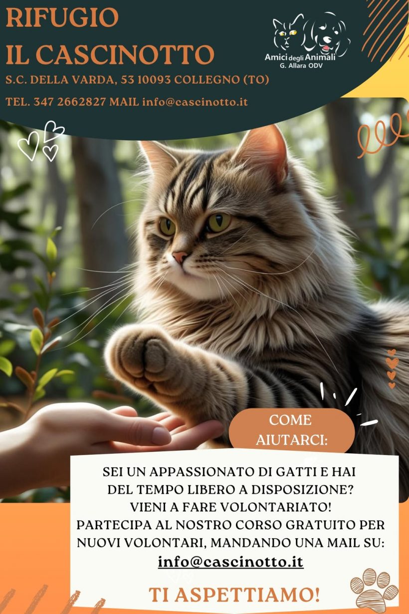 Corso Volontari gatti, 23 agosto 2025!