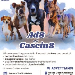 Ad8 al Cascin8 – Incontri di consapevolezza sull’adozione del cane