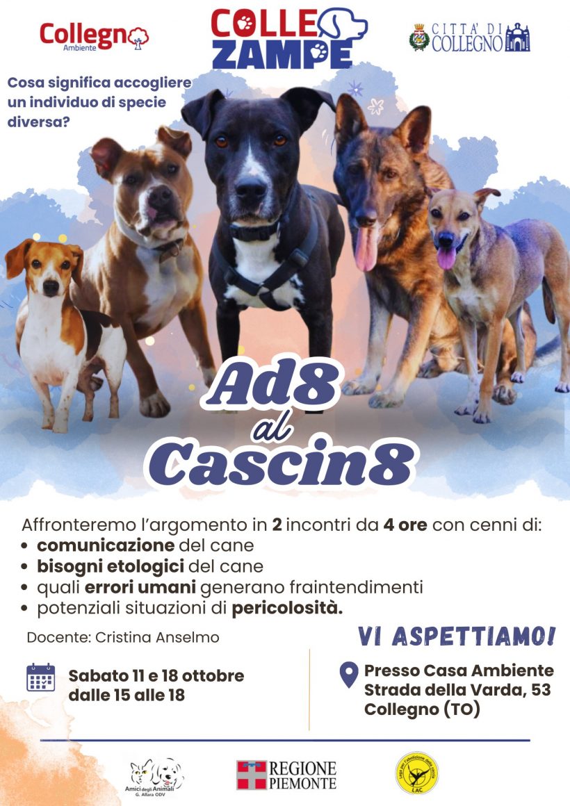 Ad8 al Cascin8 – Incontri di consapevolezza sull’adozione del cane
