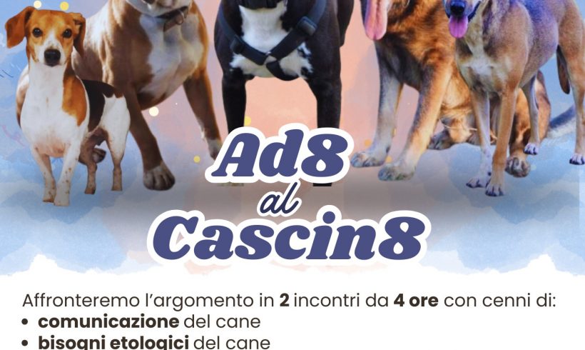 Ad8 al Cascin8 – Incontri di consapevolezza sull’adozione del cane Ad8 al Cascin8 – Incontri di consapevolezza sull’adozione del cane