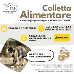Colletta alimentare sabato 20 settembre. Vi aspettiamo!