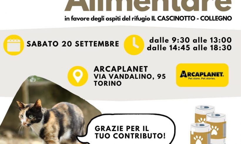 Colletta alimentare sabato 20 settembre. Vi aspettiamo! Colletta alimentare sabato 20 settembre. Vi aspettiamo!