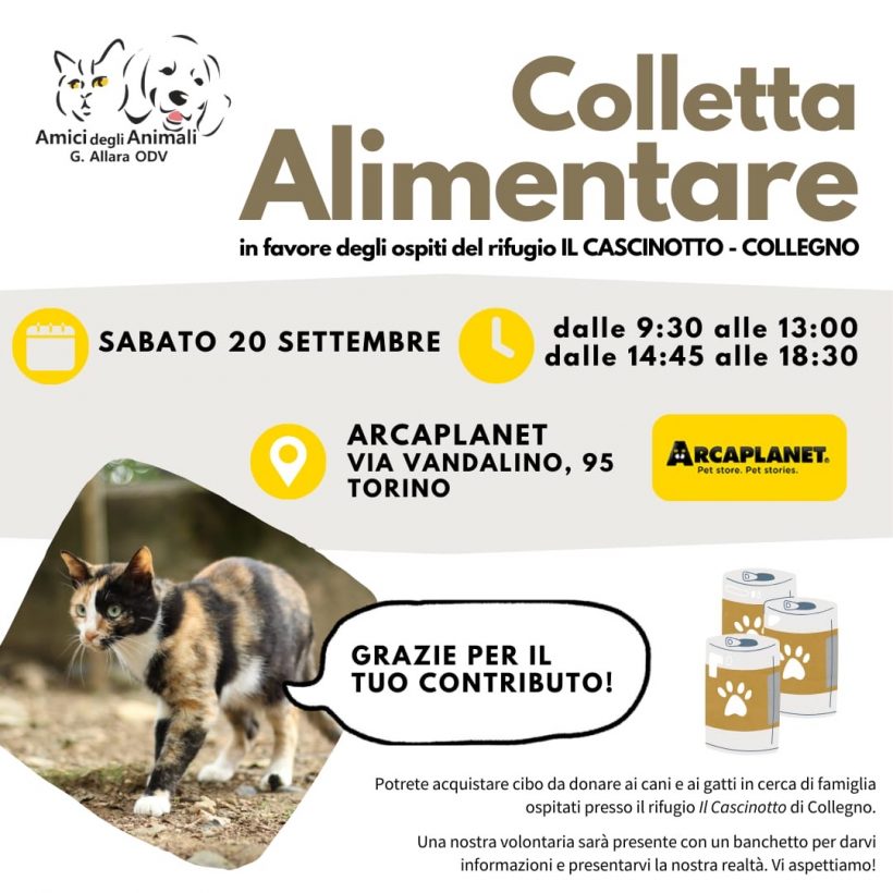 Colletta alimentare sabato 20 settembre. Vi aspettiamo!