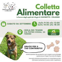 Colletta alimentare sabato 6 settembre. Vi aspettiamo!