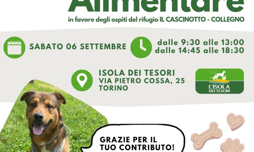 Colletta alimentare sabato 6 settembre. Vi aspettiamo!