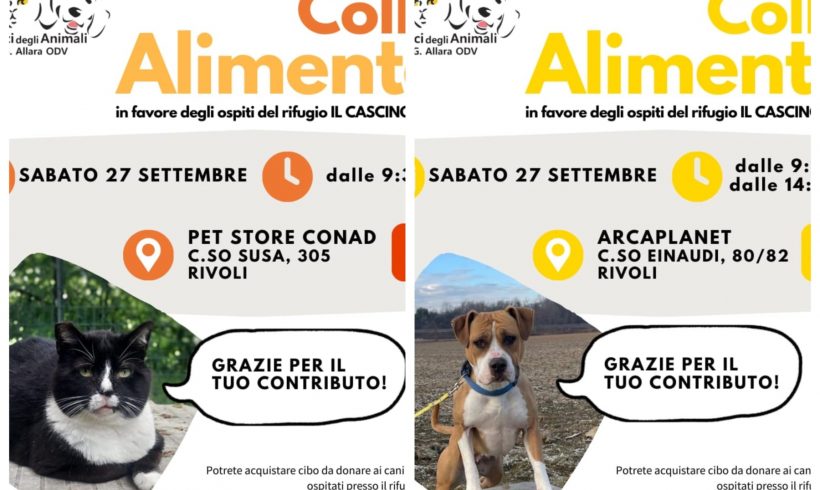 Doppia Colletta alimentare sabato 27 settembre. Vi aspettiamo! Doppia Colletta alimentare sabato 27 settembre. Vi aspettiamo!