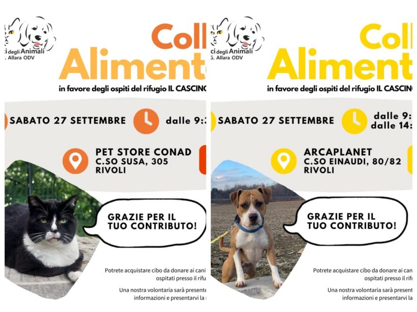 Doppia Colletta alimentare sabato 27 settembre. Vi aspettiamo! Doppia Colletta alimentare sabato 27 settembre. Vi aspettiamo!