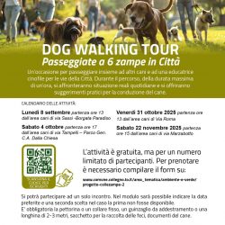 Dog walking tour passeggiate a 6 zampe in Città